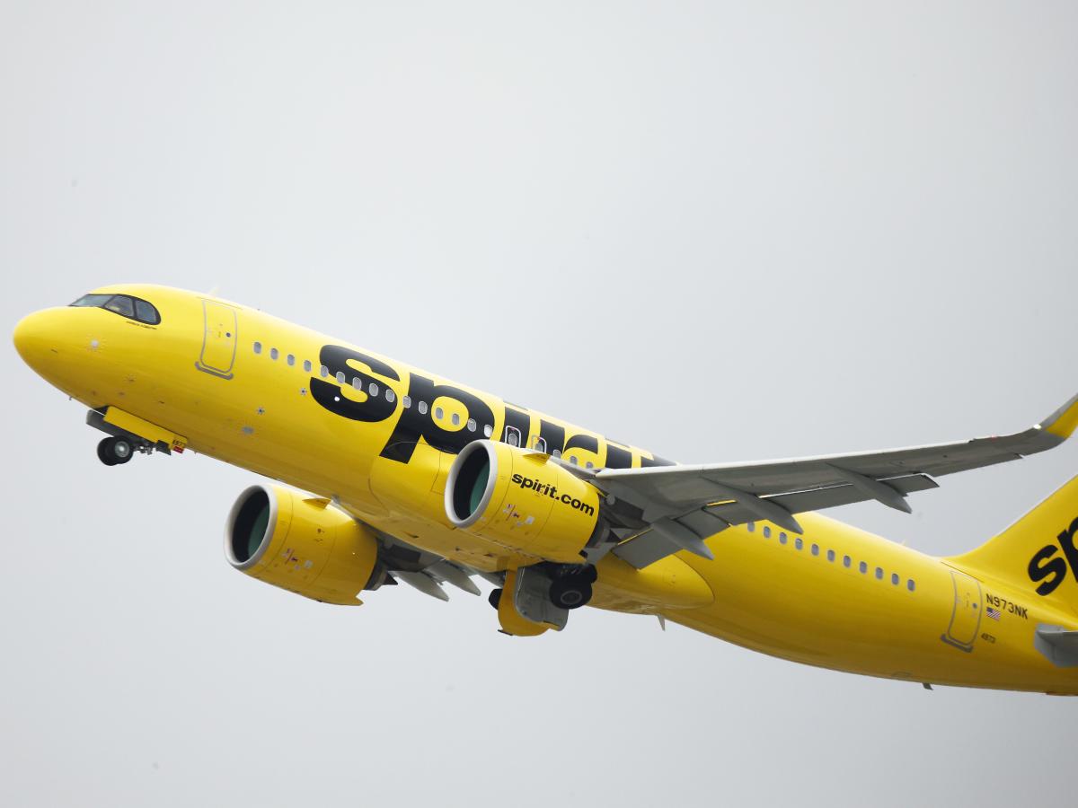 Жена изтръгна Spirit Airlines в TikTok като каза че полетът