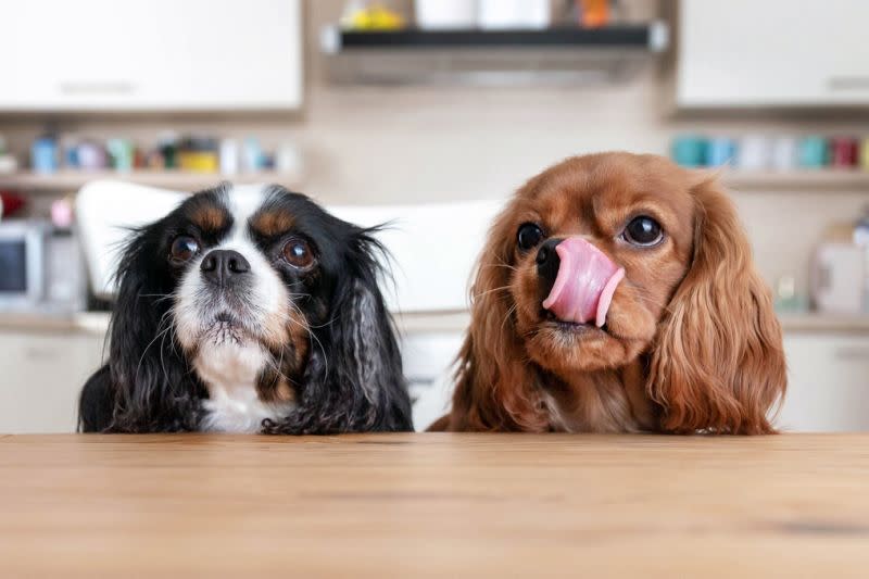 "Please, Mom. We want some more." (Photo: Getty)