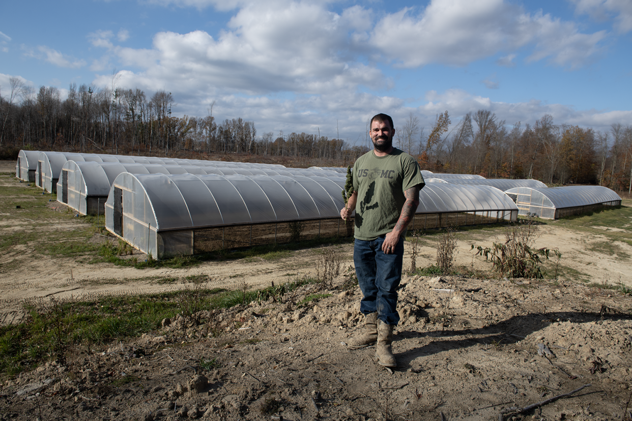 Licensed hemp cultivator William Lane holds a drying hemp plant at his farm in Palymyra Township.