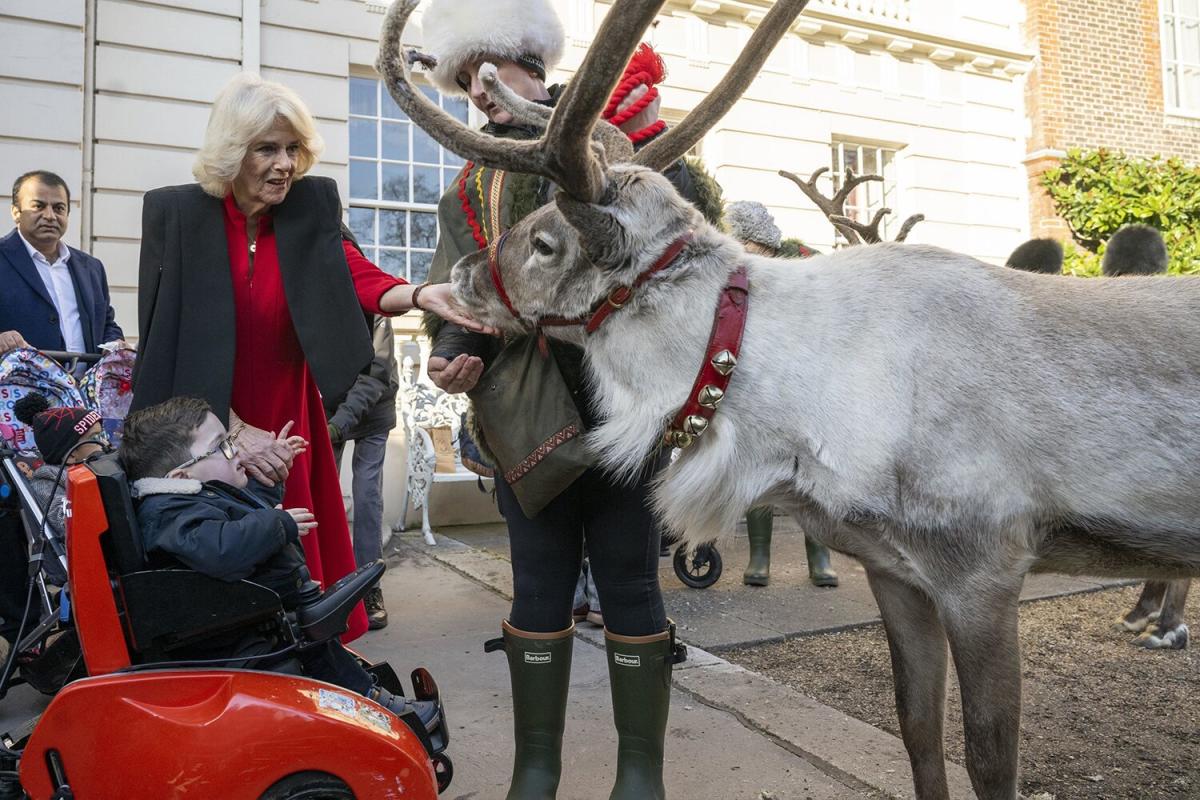 Christmas with Queen Camilla! Royal family opens London home for children to decorate tree with Santa Claus