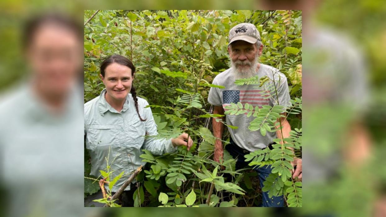 <div>Wisconsin DNR volunteer George Riggin and Habitat Biologist Bridget Rathman with the rediscovered Maryland senna plant (Photo Courtesy: Wisconsin DNR).</div>