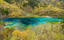 Das Naturschutzgebiet Jiuzhaigou in China hält ebenfalls einen Schatz bereit: den wunderschönen Fünf-Blumen-See. Das Wasser selbst ist kristallklar, erscheint aber türkis. Wenn sich im Herbst das Laub bunt färbt, wird das Gewässer durch Spiegelungen noch farbenprächtiger. (Bild: iStock / littlewormy)