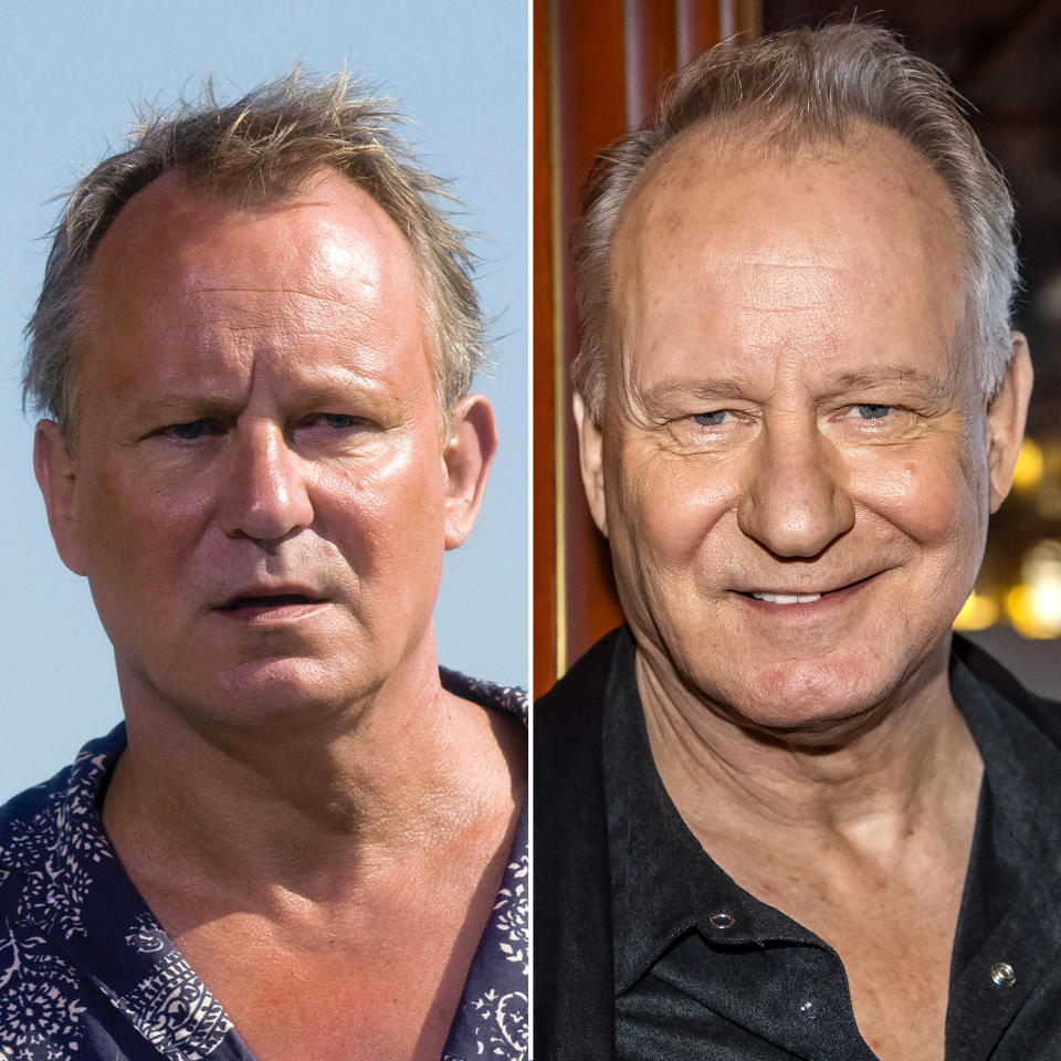 Stellan Skarsgard (Bill Anderson)