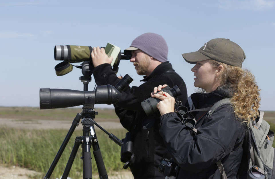 Shore bird conservationists Pete Deichmann, left, and Kristen Vale look for birds with oil on them at the Bolivar Flats Bird Sanctuary, Tuesday, March 25, 2014, in Bolivar, Texas. Environmental groups are trying to protect tens of thousands of wintering birds who make their home along the bay at this time of year. Up to 170,000 gallons of tar-like oil spilled into the major U.S. shipping channel after a barge ran into a ship Saturday. (AP Photo/Pat Sullivan)