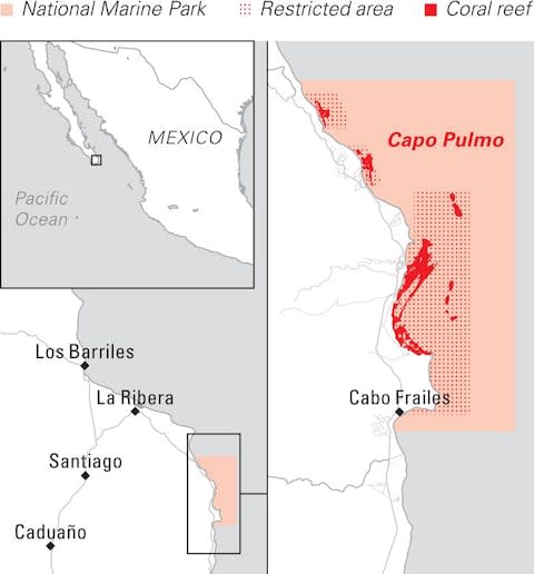 Cabo Pulmo marine reserve