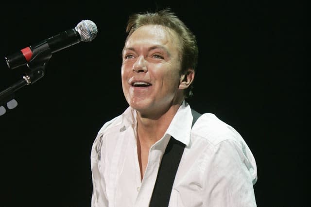 David Cassidy Concert - London