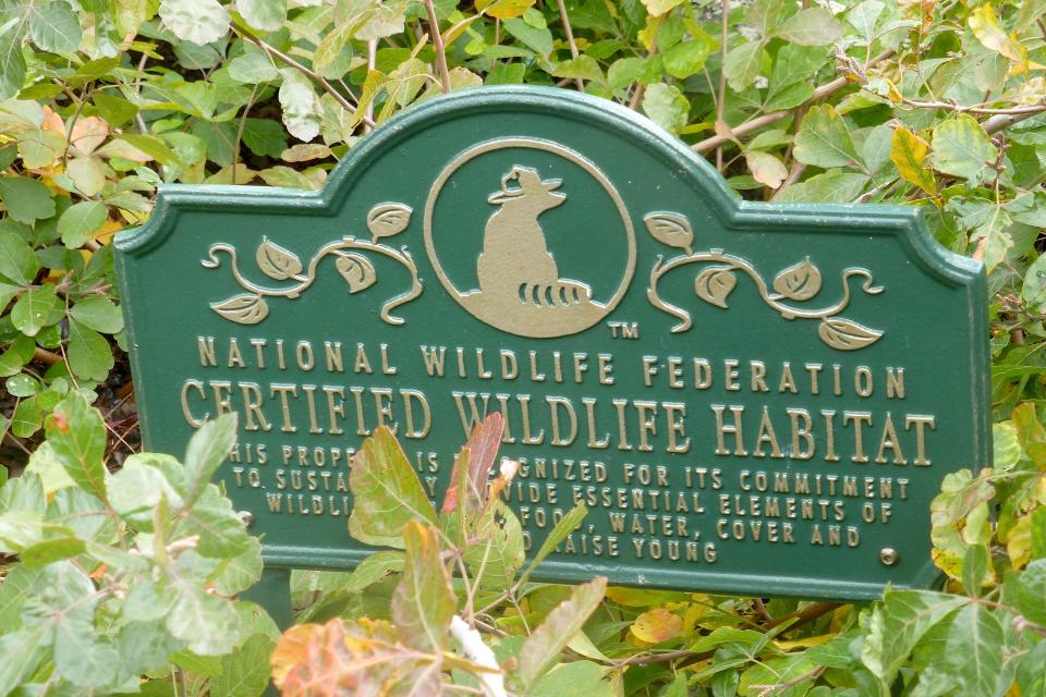 Gardens recognized as an official Certified Wildlife Habitat® qualify to display commemorative plaques like this, recognizing that the property provides essential water, food, and cover for young wildlife.