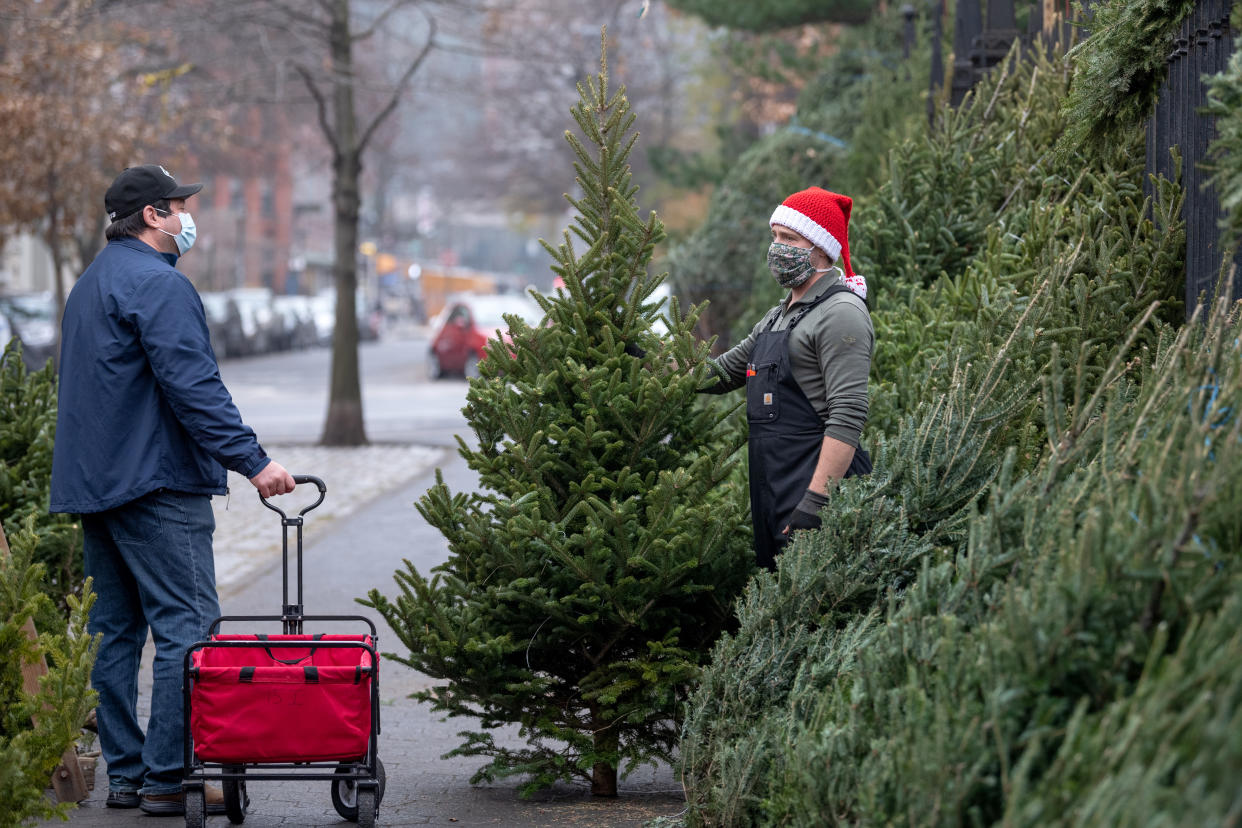 The National Christmas Tree Association credits growing demand for real Christmas trees to the pandemic. (Photo: Alexi Rosenfeld/Getty Images)