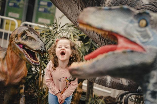 Scavenger hunt for fearsome dinosaurs returns to Lanark this summer