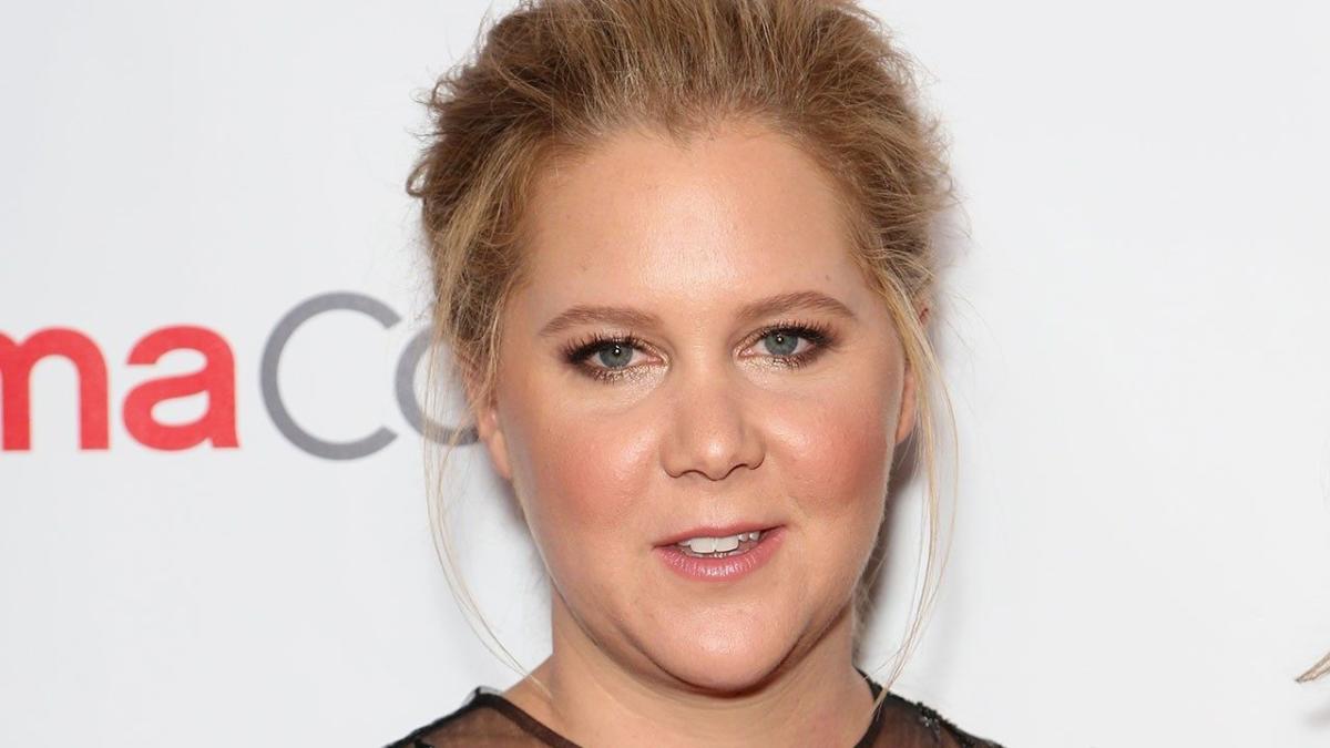 Amy Schumer’s Severe Nausea Continues As She Updates Fans on Rough ...