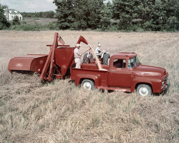 A red 1956 Ford F-100 pickup in a farm's field.