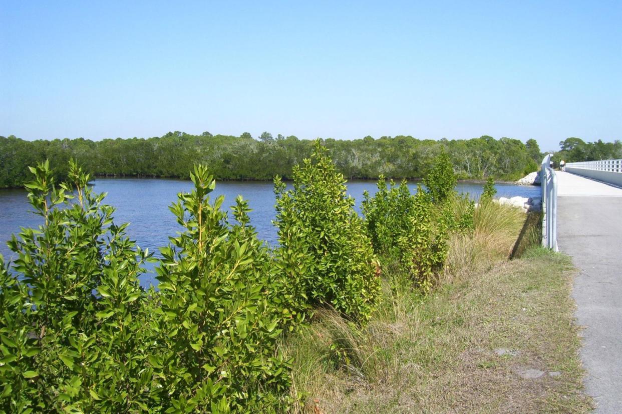 Cape Haze Pioneer Trail