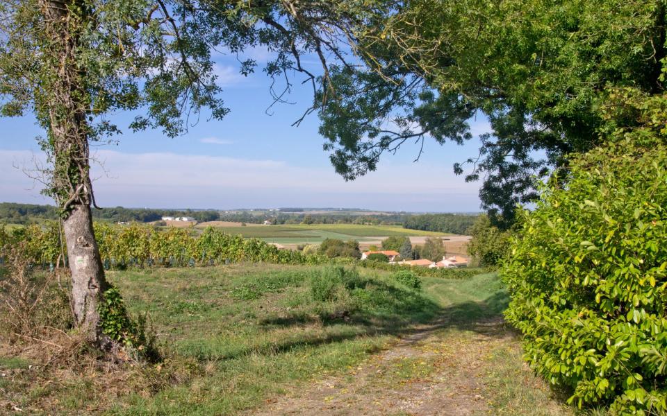 Charente countryside, France