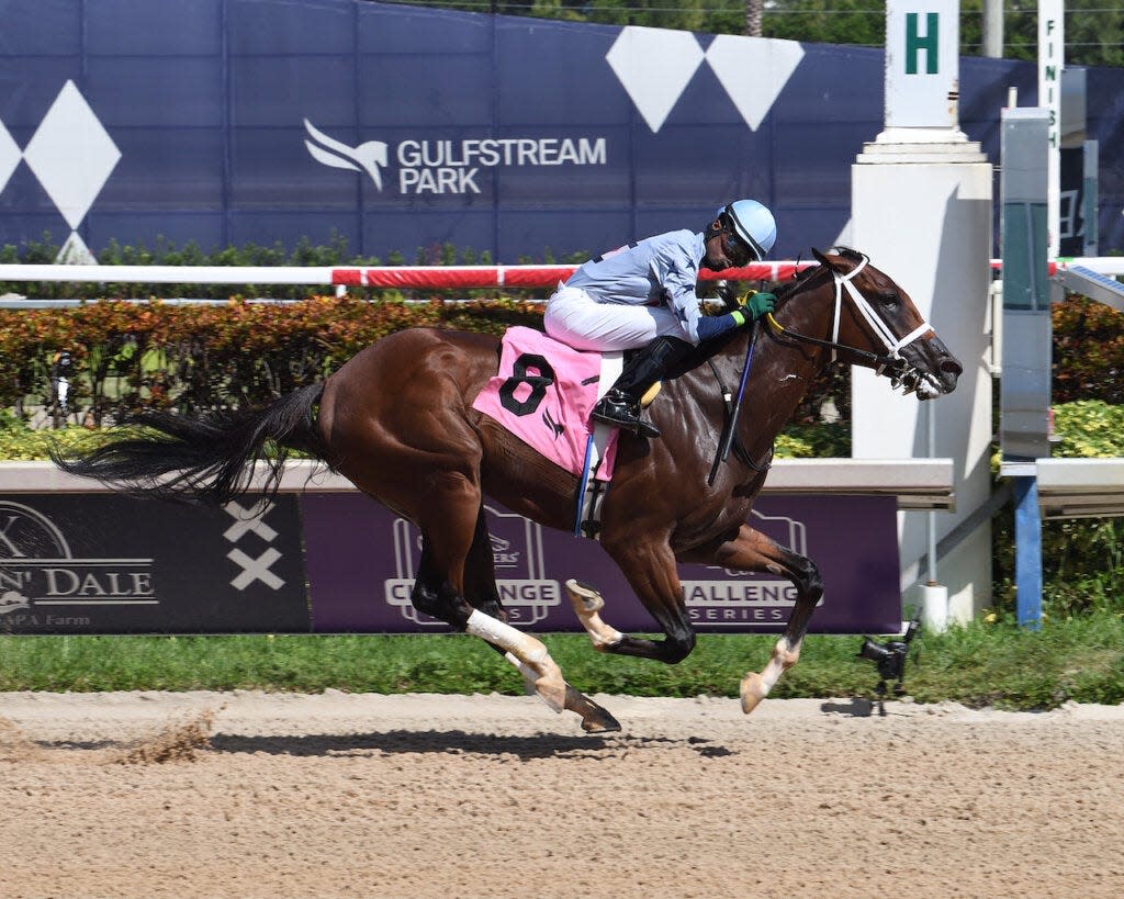 Catalytic and jockey Kevin Krigger win a maiden race Oct. 7, 2023, at Gulfstream Park.