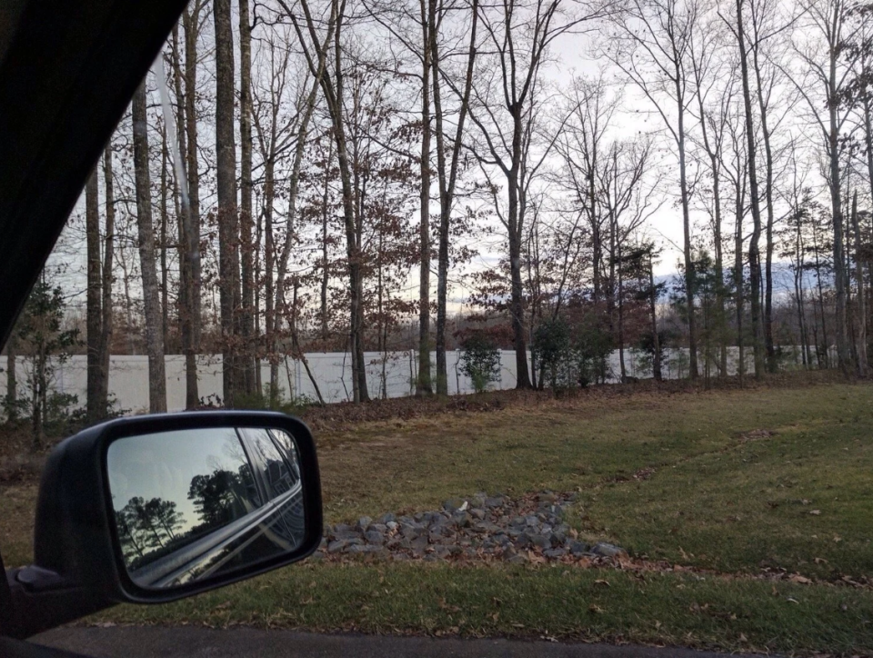 View from a car with trees and sky reflected in the side mirror, fence along roadside