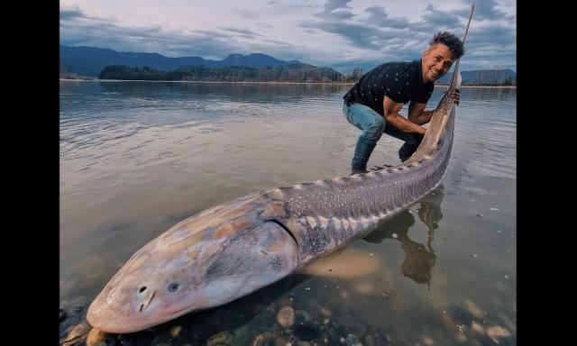 Win Big-Fish Battles Safely from Your Kayak