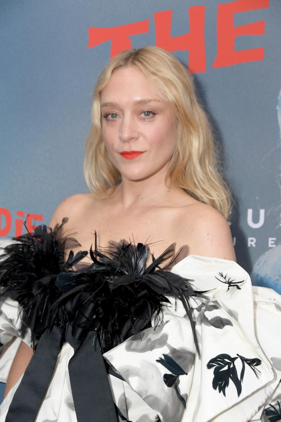 Chloë Sevigny