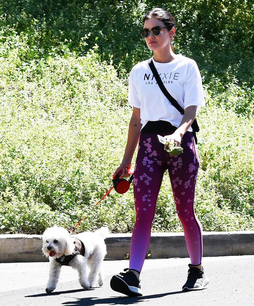 <p>Lucy Hale lets her dog lead the way during a walk in Los Angeles on Monday.</p>