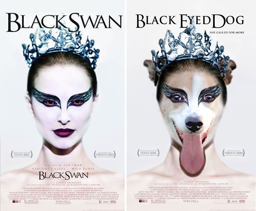 Black Swan / Black Eyed Dog