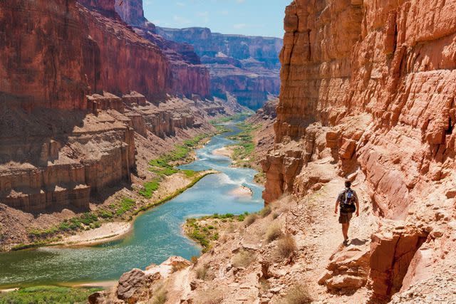 <p>Getty</p> A stock image of a hiker in a national park