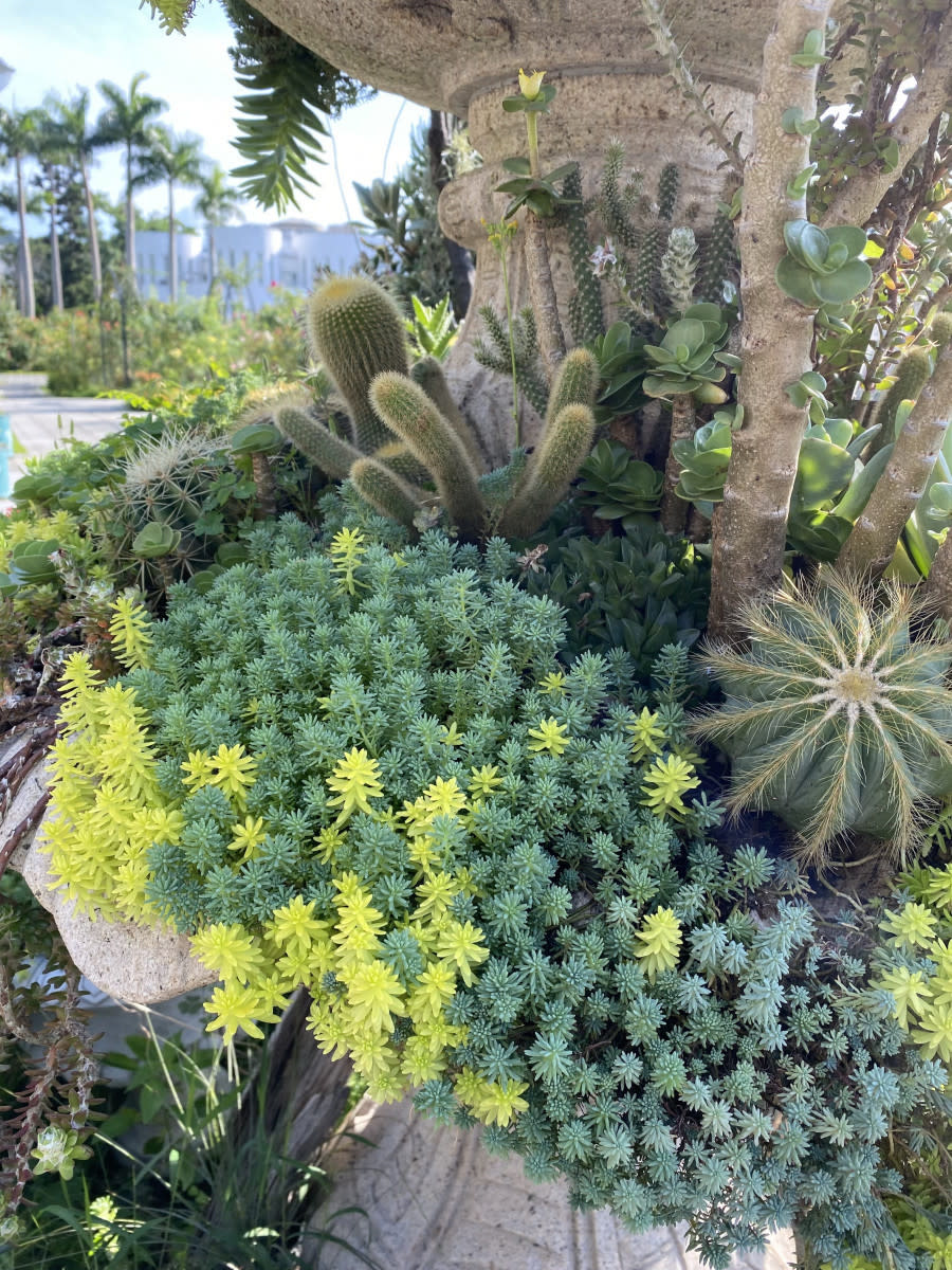 多肉植物穿梭的歐式古典廊柱、高杯盆及花叢中（圖／台北市公園處提供）