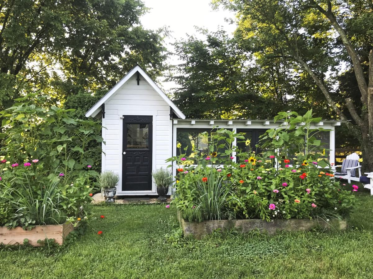 Cedar Acres Coop!  BackYard Chickens - Learn How to Raise Chickens