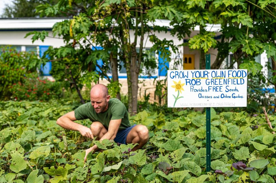 Greenfield verbrachte zwei Jahre in Orlando, eines davon aß er nur Lebesmittel, die er selbst gesammelt oder angebaut hat. - Copyright: www.livewonderful.com