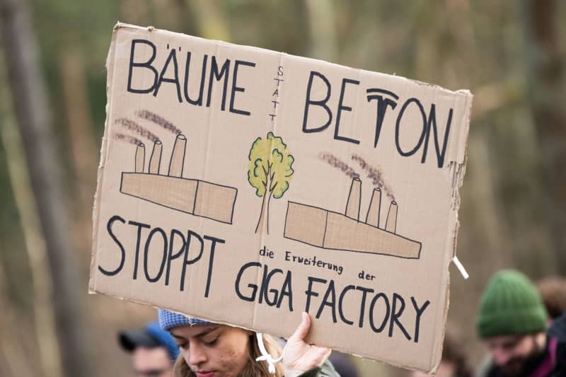 A demonstrator holds up a placard reading "Trees instead of concrete, stop the expansion of the Giga Factory" during a demonstration against the Tesla expansion under the slogan "Tesla No Thanks!". Christophe Gateau/dpa