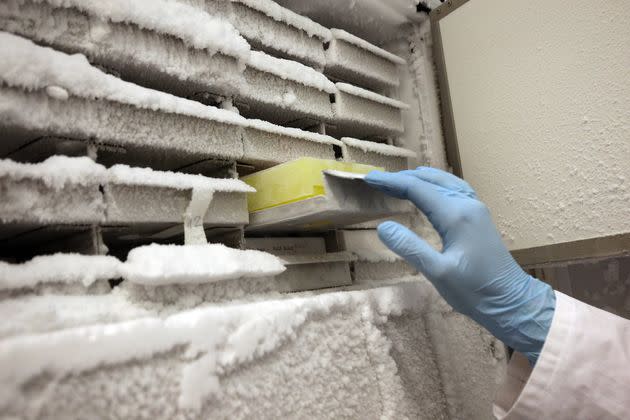 The lab freezer, such as the one pictured, contained invaluable cell samples and cultures.