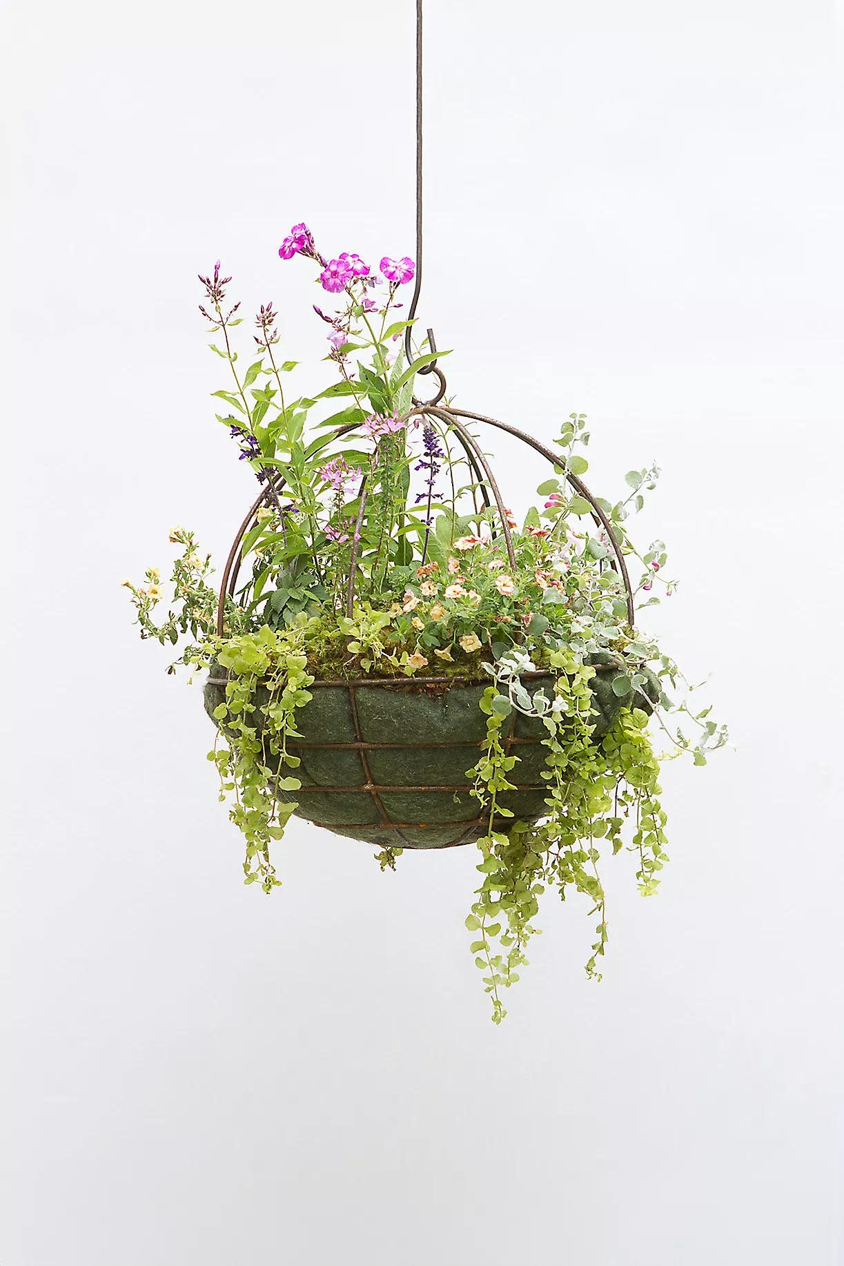 <p><a href="https://go.redirectingat.com?id=74968X1596630&url=https%3A%2F%2Fwww.shopterrain.com%2Fshop%2Fsphere-hanging-basket-20%3Fcolor%3D111%26gad_source%3D1%26gclid%3DCjwKCAjw8diwBhAbEiwA7i_sJcjKealH6qNjXN7tXe9iaVc1kN-b61KUqOGr0mcY0k1JVAVSQIQONRoCLsIQAvD_BwE%26gclsrc%3Daw.ds%26type%3DSTANDARD%26size%3D20%2522%26quantity%3D1&sref=https%3A%2F%2Fwww.esquire.com%2Flifestyle%2Fg60454648%2Fbest-gifts-for-gardeners%2F" rel="nofollow noopener" target="_blank" data-ylk="slk:Shop Now;elm:context_link;itc:0;sec:content-canvas" class="link rapid-noclick-resp">Shop Now</a></p><p>Sphere Hanging Basket</p><p>shopterrain.com</p><p>$19.50</p>