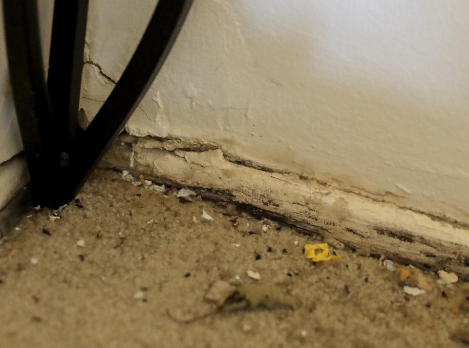 Mice droppings are seen near a hole in the corner of the living room in Carrie Newson's residence at the Dutch Village apartments, Tuesday, July 30, 2019, in Baltimore. Newson has complained to management about mice and mold in her home but the issues have yet to be fixed. The apartment complex is owned by Jared Kushner, son-in-law of President Donald Trump, who days earlier vilified Congressman Elijah Cummings' majority-black Baltimore district as a "disgusting, rat and rodent infested mess" where "no human being would want to live." (AP Photo/Julio Cortez)