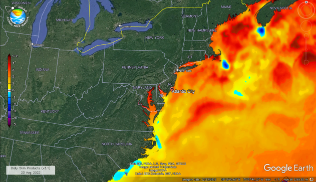 SST Anomalies 8/25