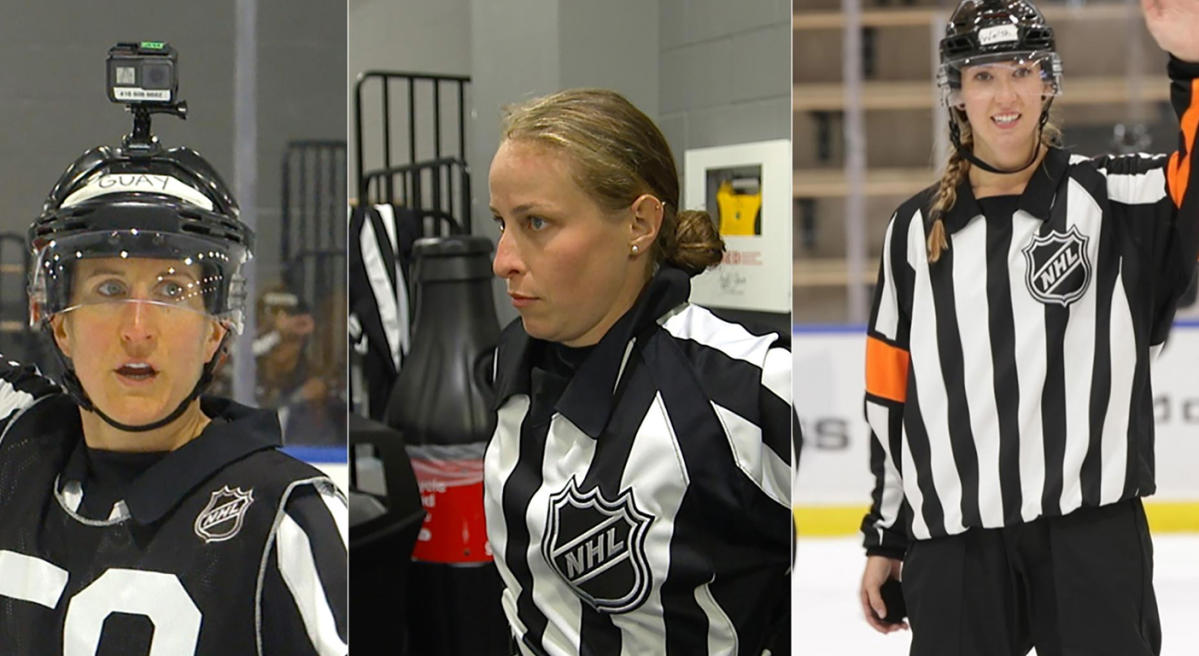 Ice Hockey Referee Group - NHL, USA Hockey, Hockey Canada, IIHF