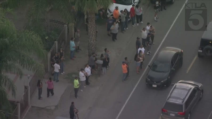 A large crowd gathered to get a glimpse of a black bear that climbed a tree in Muscoy on Sept. 28, 2023. (KTLA)