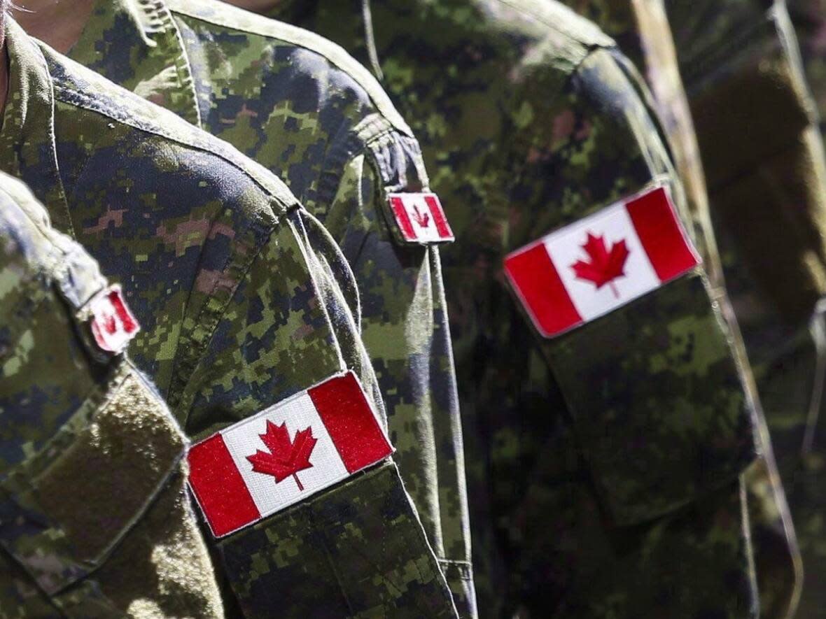 Groups that help military personnel make the shift to civilian careers are urging the province to do more to make that transition easier. (Jeff McIntosh/The Canadian Press - image credit)