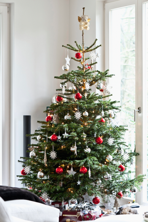 How To Clean Up Christmas Tree Needles