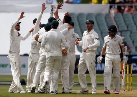 Australia's Mitchell Starc (C) celebrates with team mates after dismissing New Zealand's Kane Williamson LBW for 22 runs during the first day of the third cricket test match at the Adelaide Oval, in South Australia, November 27, 2015. REUTERS/David Gray