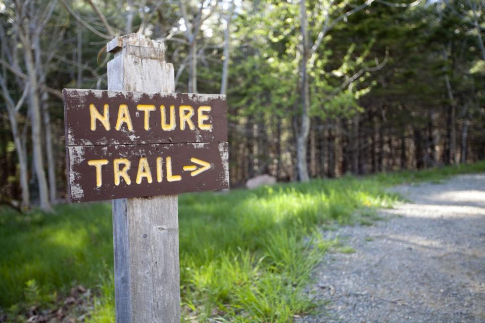 Nature Trail Sign