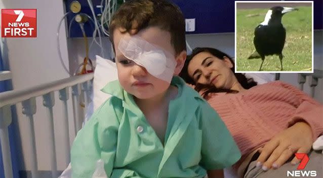 Jacob Gale may lose sight in one eye after a magpie attack. Source: 7 News