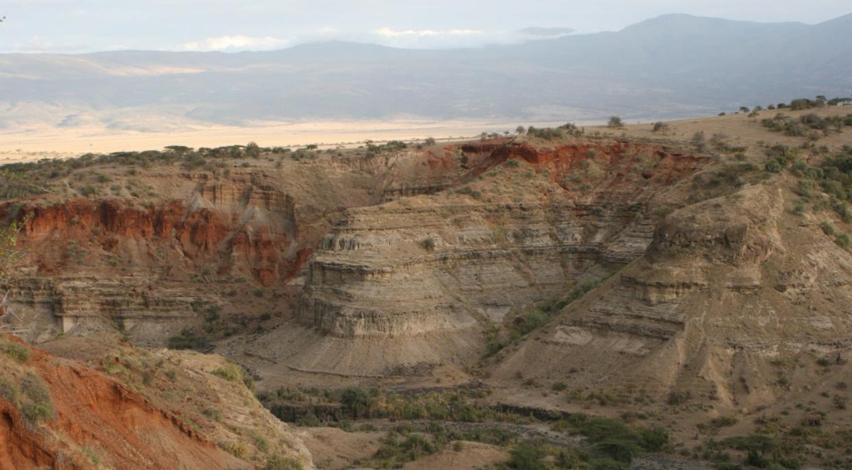 <span class="caption">Nearly a century ago, archaeologists started to shift the focus of human origins research from Europe to Africa’s ‘cradles of humankind’ like Oldupai (Olduvai) Gorge in Tanzania. What will the next big shifts be? </span> <span class="attribution"><span class="source">Manuel Domínguez-Rodrigo</span>, <a class="link " href="http://creativecommons.org/licenses/by-sa/4.0/" rel="nofollow noopener" target="_blank" data-ylk="slk:CC BY-SA;elm:context_link;itc:0;sec:content-canvas">CC BY-SA</a></span>