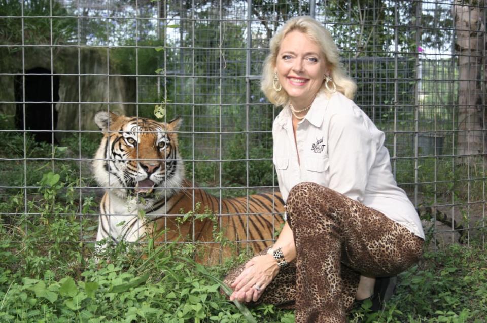 <div class="inline-image__caption"><p>Carole Baskin at Big Cat Rescue in Tampa, Florida. </p></div> <div class="inline-image__credit">Courtesy Big Cat Rescue</div>