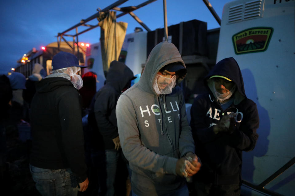 Migrant farmworkers with H-2A visas wash their hands after traveling from their labor camp to the fields to harvest romaine lettuce before dawn in King City, California, U.S., April 17, 2017. REUTERS/Lucy Nicholson SEARCH "H-2A NICHOLSON" FOR THIS STORY. SEARCH "WIDER IMAGE" FOR ALL STORIES.