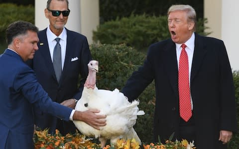 US President Donald Trump pardons the National Thanksgiving Turkey - Credit: Saul Loeb/AFP