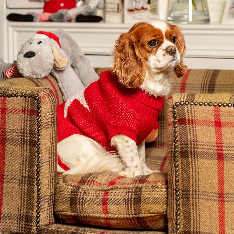 House of Paws Red Star Christmas Dog Jumper, from £12.99