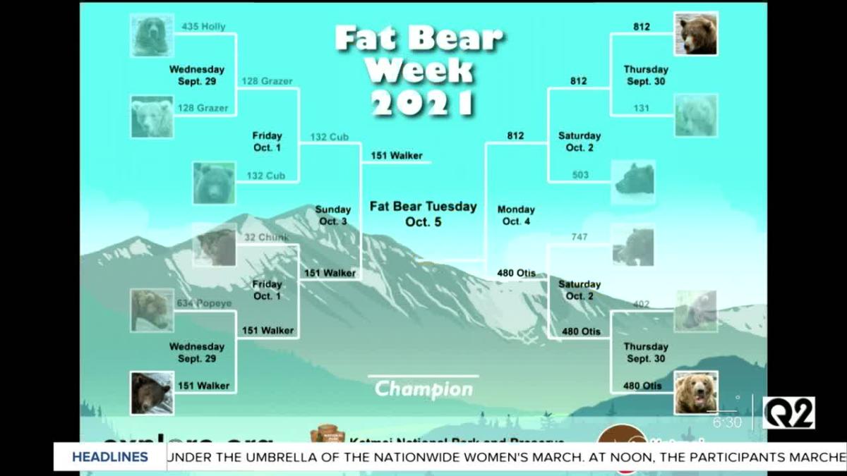 Montana this Morning celebrates Fat Bear Week [Video]