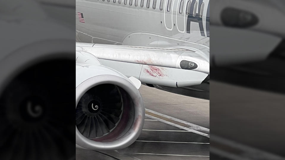 What appears to be blood is smeared across part of aircraft's exterior.