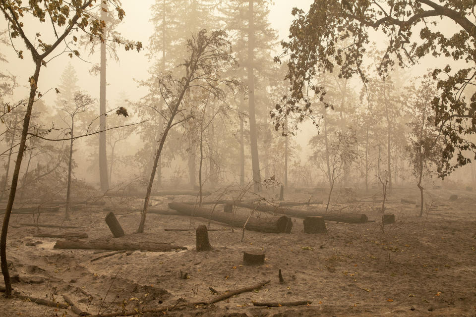 Flames from the Beachie Creek Fire burned through Fishermen's Bend Recreation Site in Mill City, Ore., Sunday, Sept. 13, 2020. (Rob Schumacher/Statesman-Journal via AP, Pool)