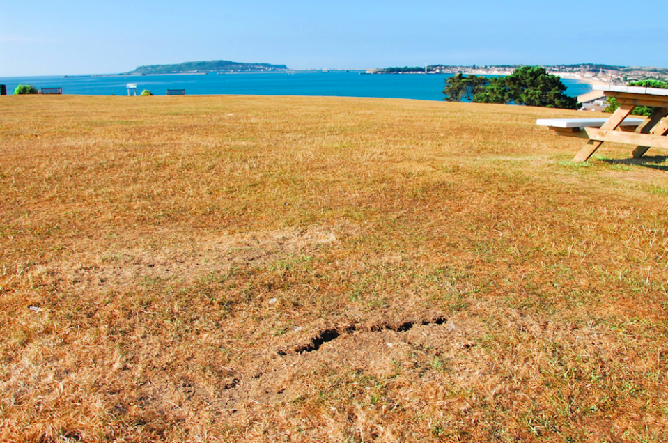 <em>Cracks begin to form on the dried out grassland in Weymouth as the heatwave continues (Rex)</em>