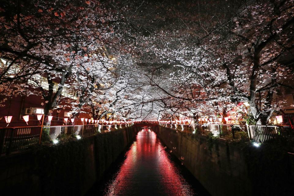 (Photo: Takashi Aoyama/Getty Images)