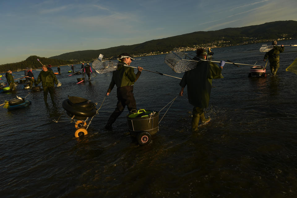 Clam diggers walk in the lower estuary of Lourizan, Galicia, northern Spain, Tuesday, April 18, 2023. They fan out in groups, mostly women, plodding in rain boots across the soggy wet sands of the inlet, making the most of the low tide. These are the clam diggers, or as they call themselves, "the peasant farmers of the sea." (AP Photo/Alvaro Barrientos)